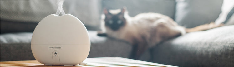 Saje Breeze diffuser placed with cat